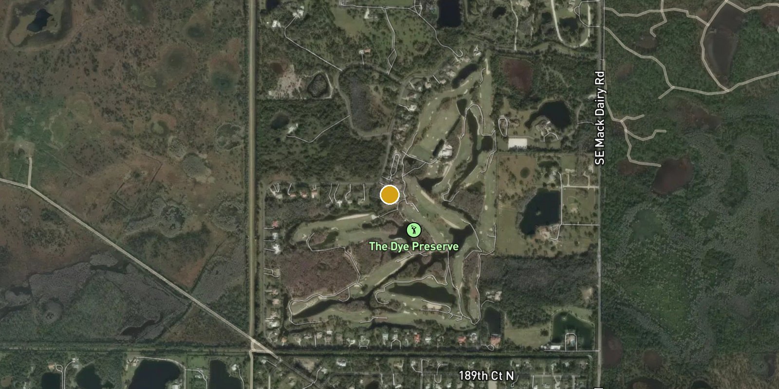 The Dye Preserve