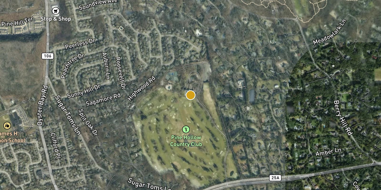Pine Hollow Club