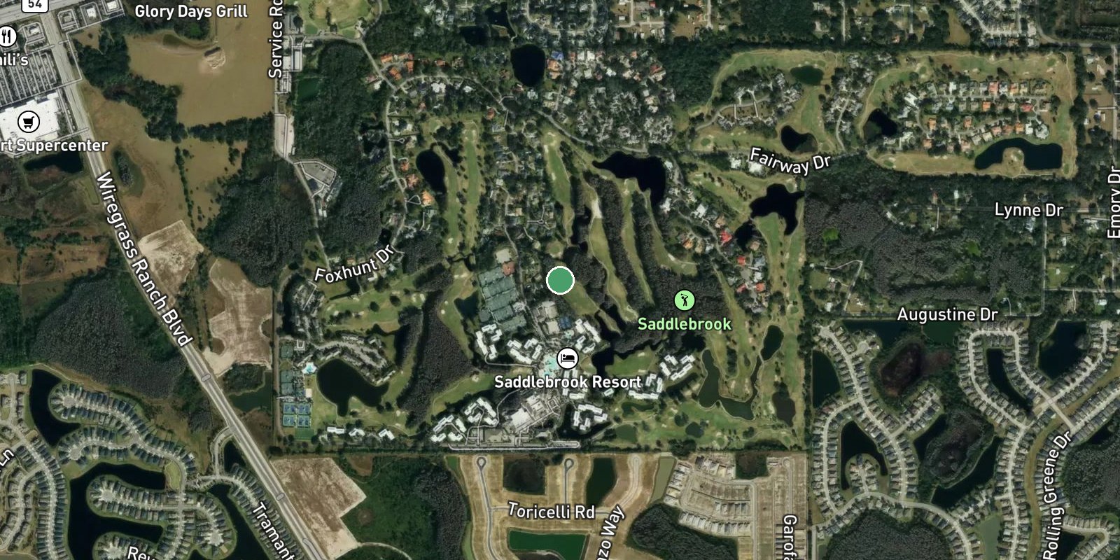 Saddlebrook