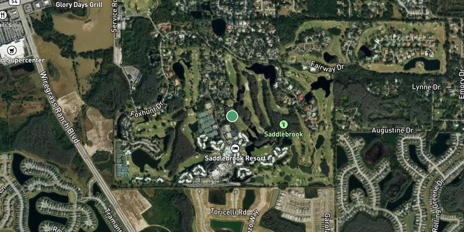 Saddlebrook