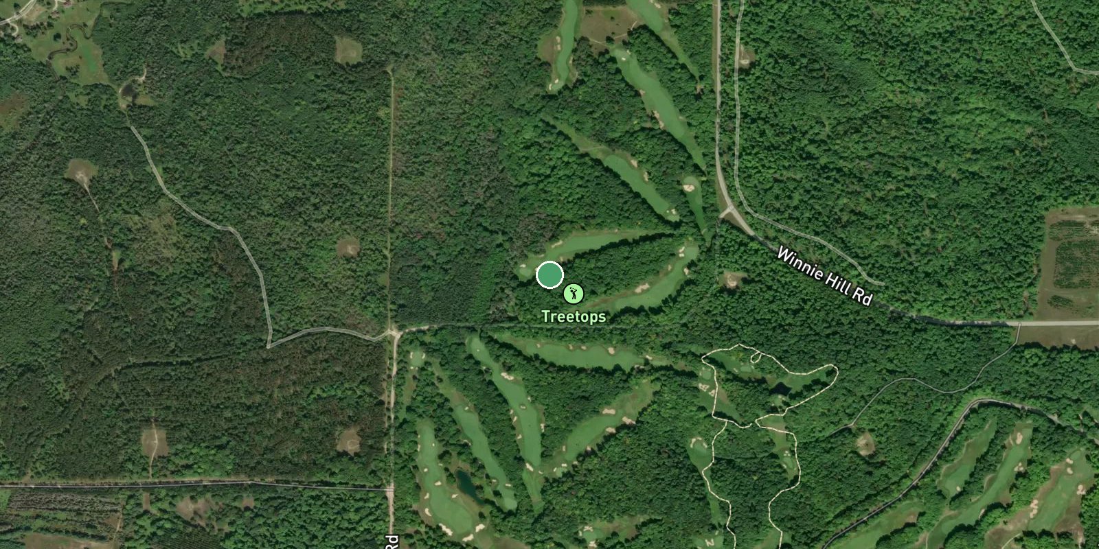 Treetops