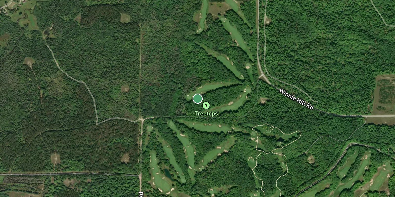 Treetops