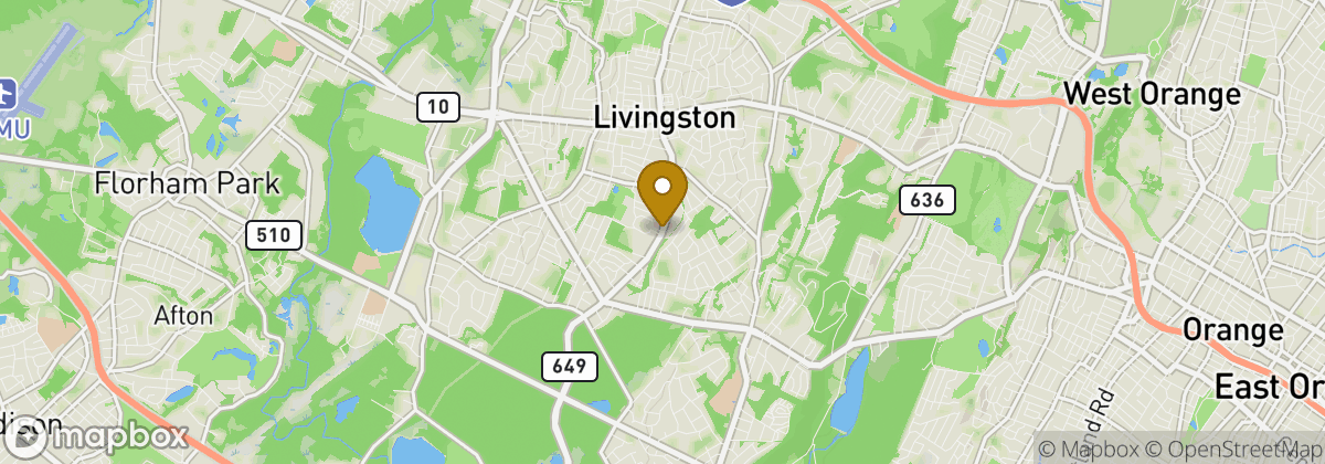 Map location: Livingston