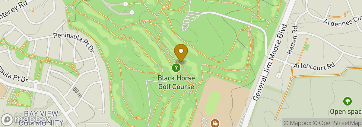 Map location: Black Horse Golf Course