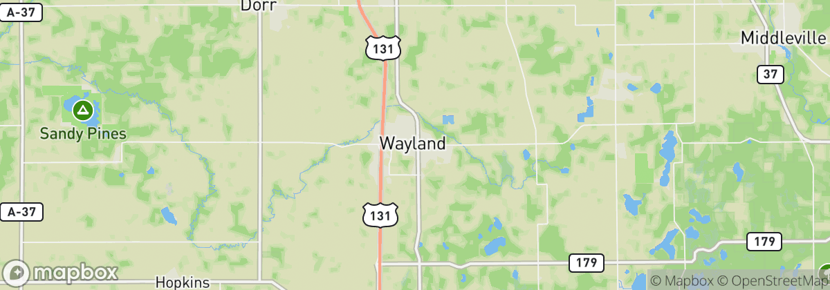 Map: Wayland, MI