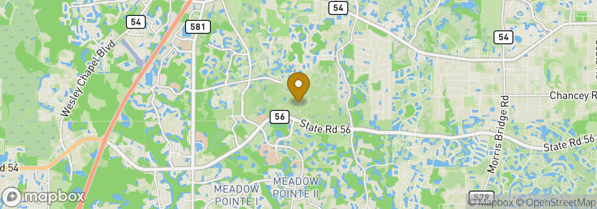 Map location: Saddlebrook Resort