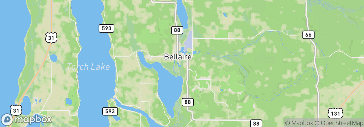 Map: Bellaire, MI