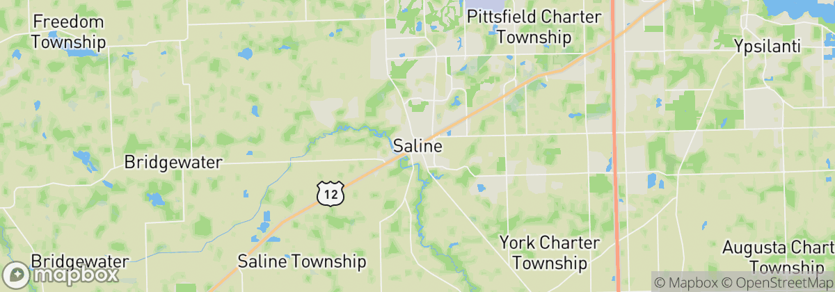 Map: Saline, MI