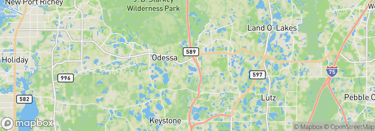 Map: Odessa, FL