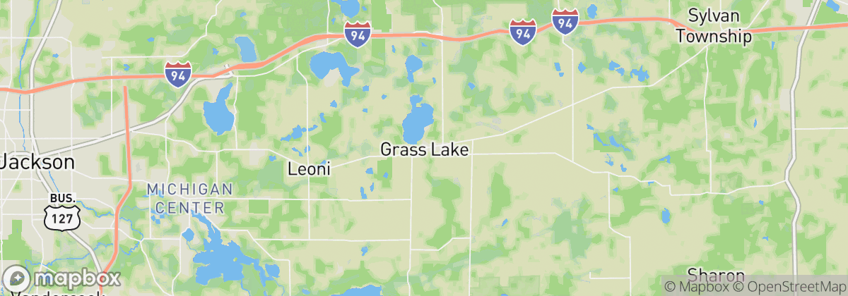 Map: Grass Lake, MI