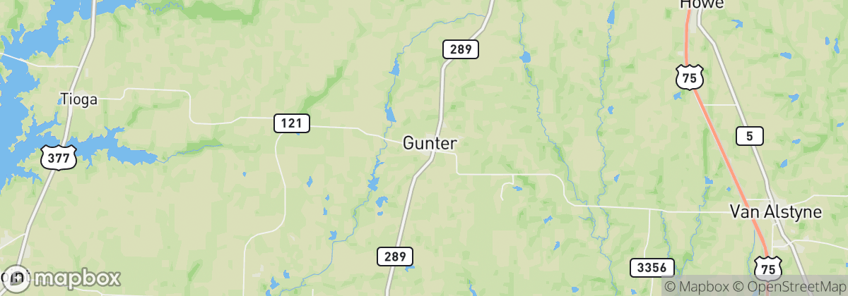 Map: Gunter, TX