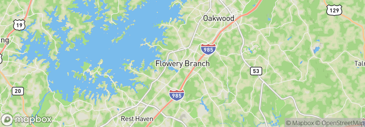 Map: Flowery Branch, GA